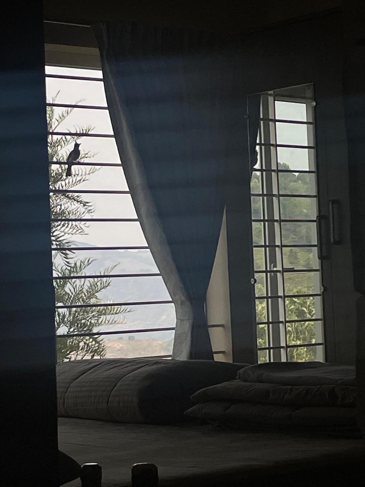 Casa De Kcn Villa Kotagiri Eksteriør bilde