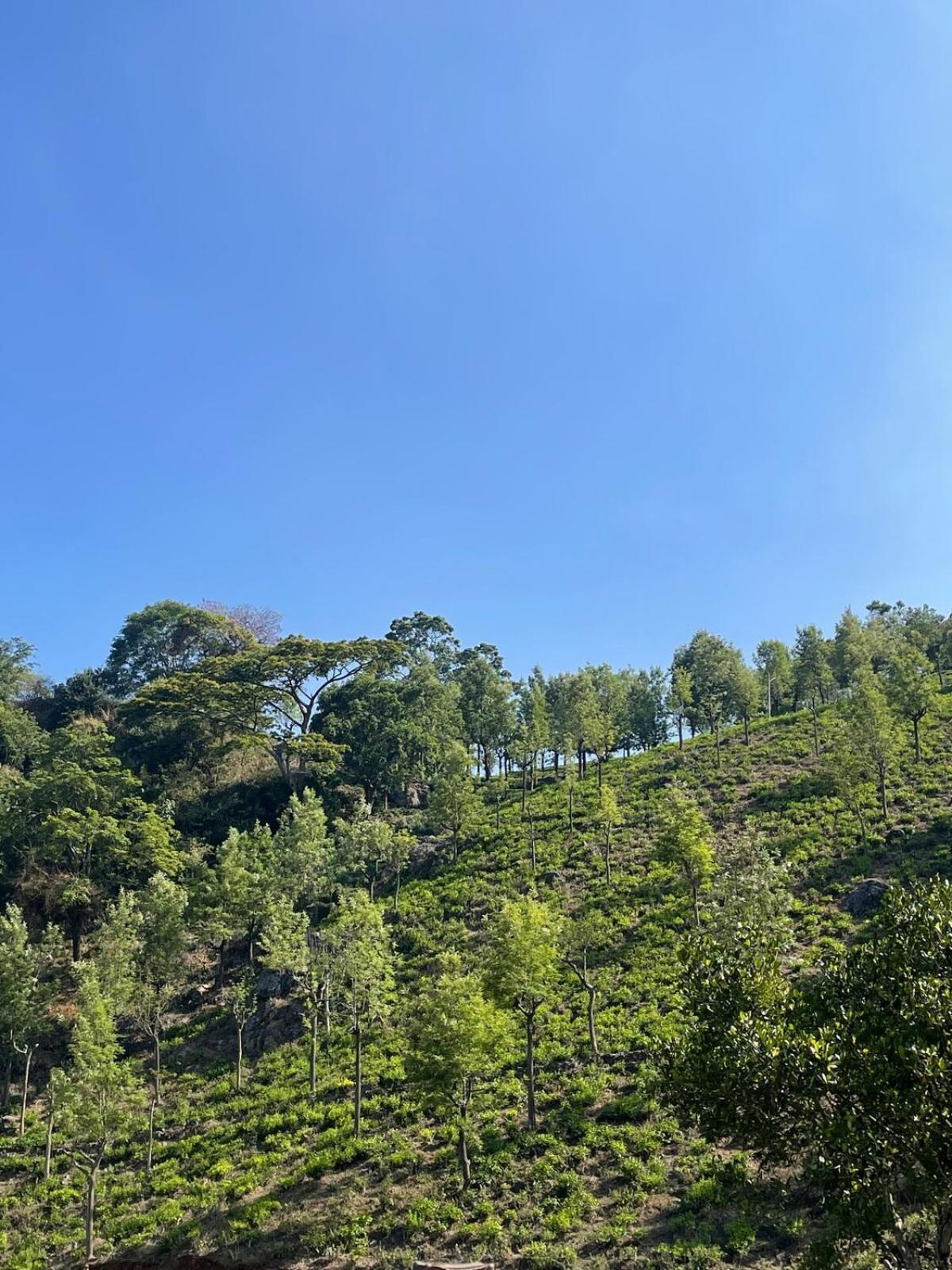 Casa De Kcn Villa Kotagiri Eksteriør bilde